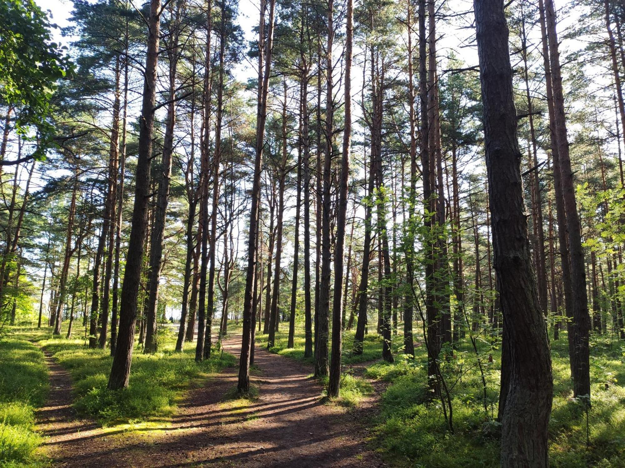 Flip-Flops Apartment Jurmala With Free Parking Esterno foto