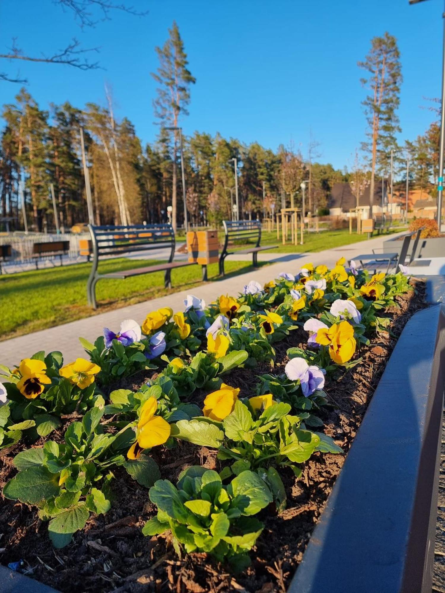 Flip-Flops Apartment Jurmala With Free Parking Esterno foto
